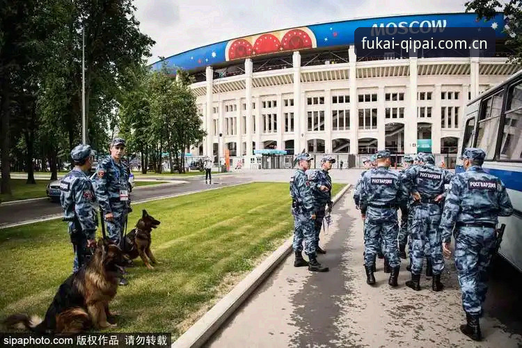财神到注册怎么样 揭秘世界杯安保缩减背后的真相:英国警员赴美仅3人,财神到棋牌带你深度解读